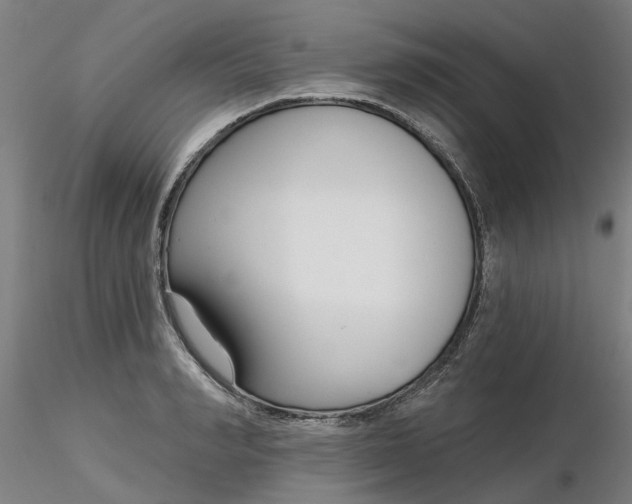 X0000116340990200912221437