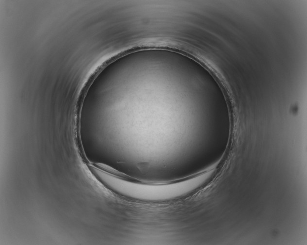 X0000116340992200912221437