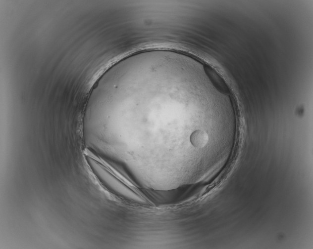 X0000116340993200912221437