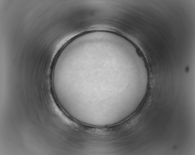 X0000116340995200912221437