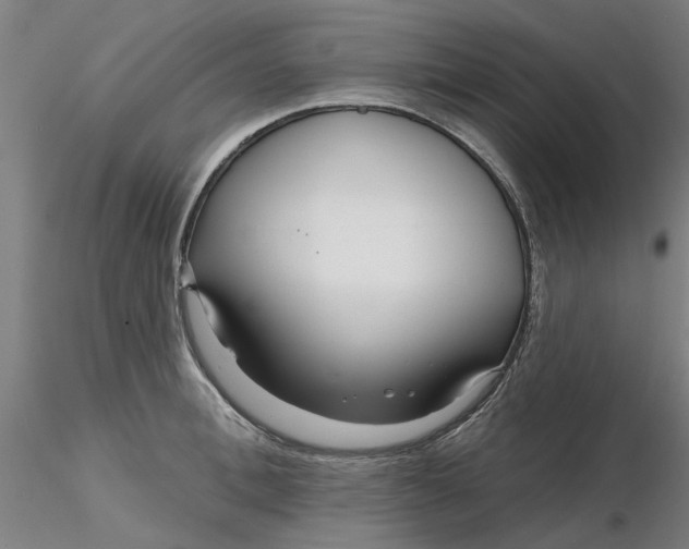 X0000116340996200912221437