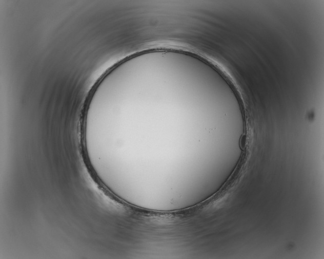 X0000116340999200912221437