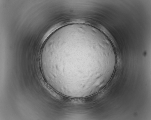 X0000116341002200912221437