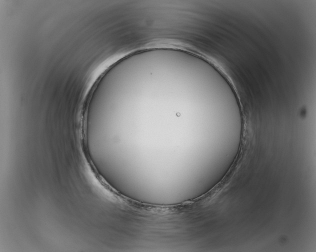 X0000116341003200912221437