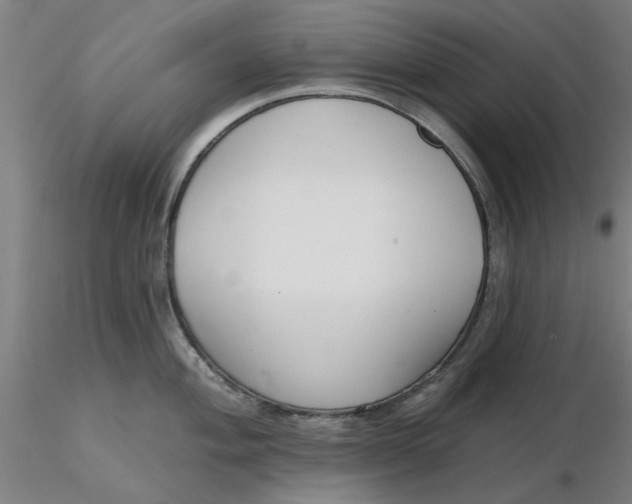 X0000116341004200912221437