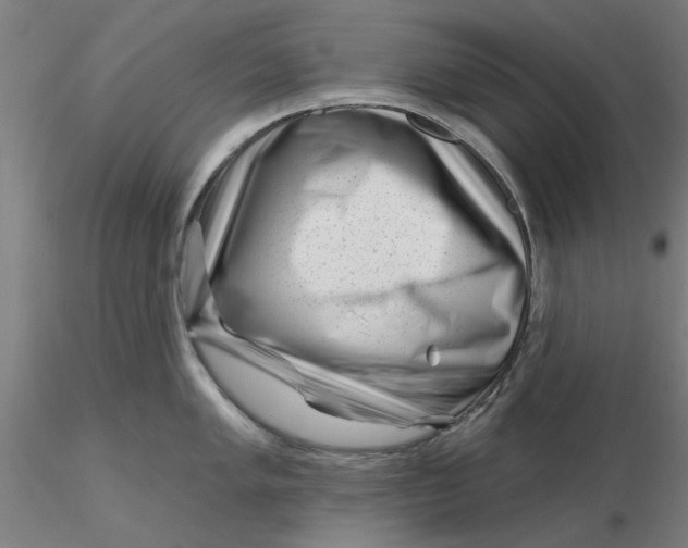 X0000116341005200912221437