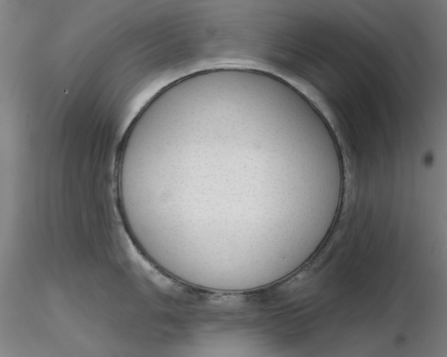 X0000116341006200912221437