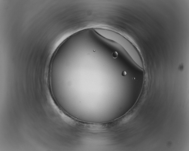 X0000116341007200912221437