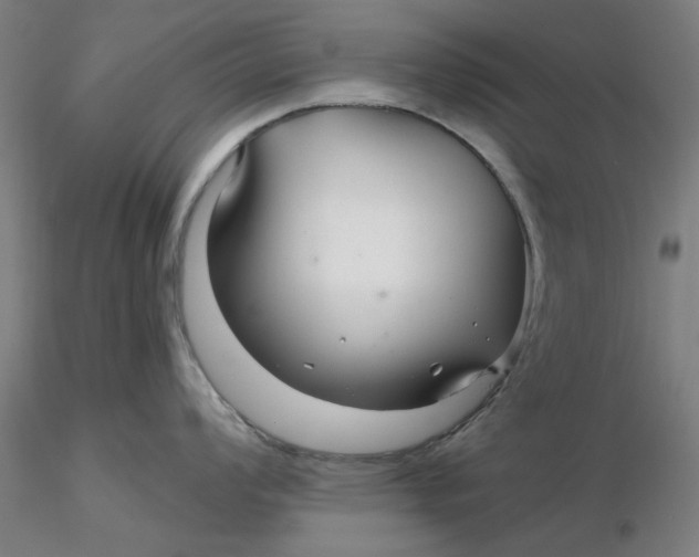 X0000116341008200912221437