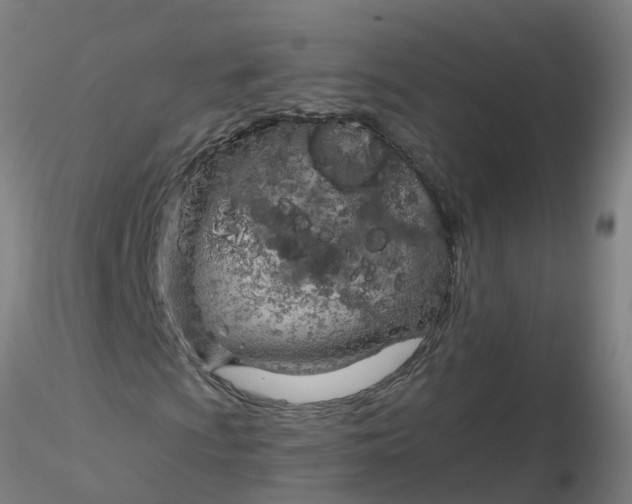 X0000116341009200912221436