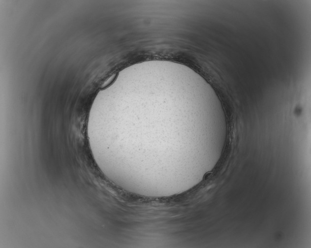 X0000116341010200912221436