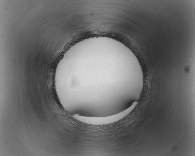 X0000116341012200912221436