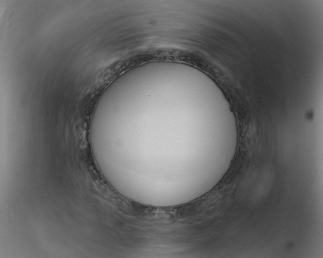 X0000116341013200912221436