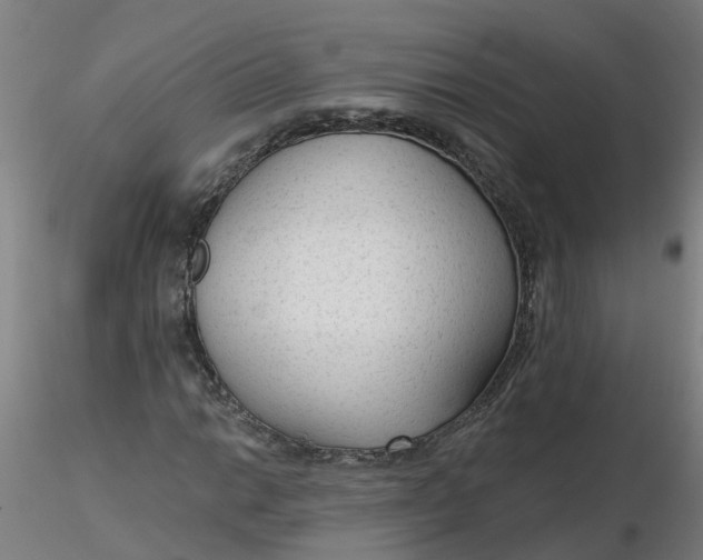 X0000116341014200912221436