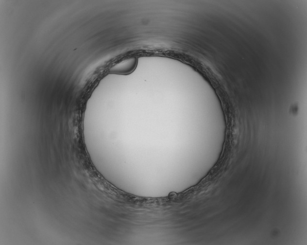 X0000116341016200912221436