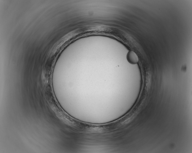 X0000116341017200912221436