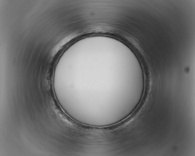 X0000116341018200912221436