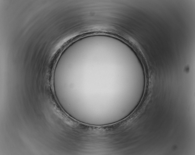 X0000116341019200912221436