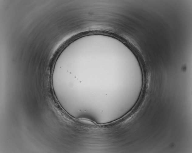 X0000116341021200912221436