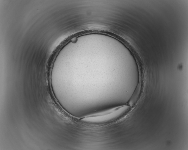 X0000116341022200912221436