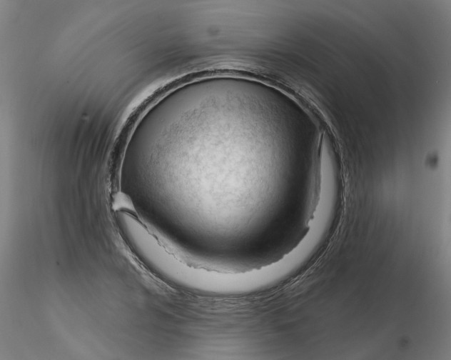 X0000116341024200912221436