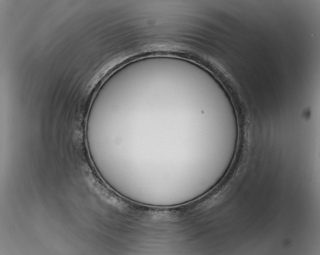 X0000116341025200912221436