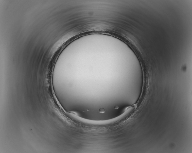 X0000116341026200912221436