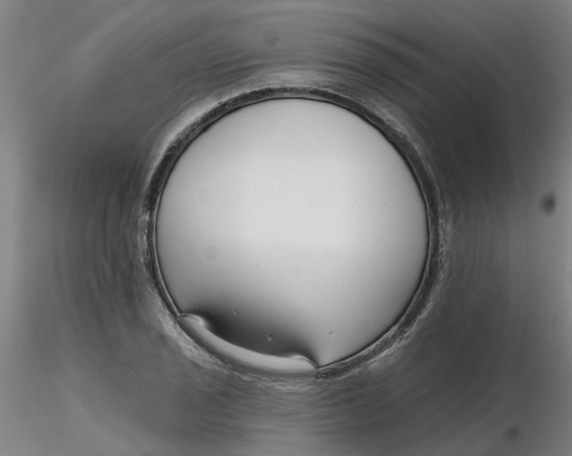 X0000116341029200912221436