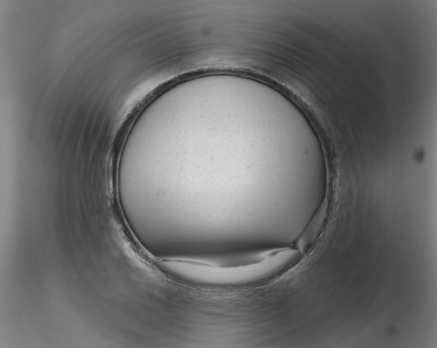 X0000116341030200912221436