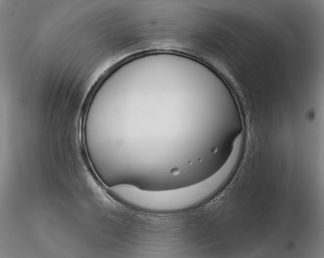 X0000116341032200912221437