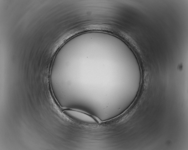 X0000116341033200912221437