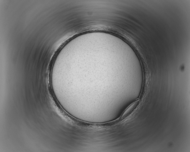 X0000116341034200912221437