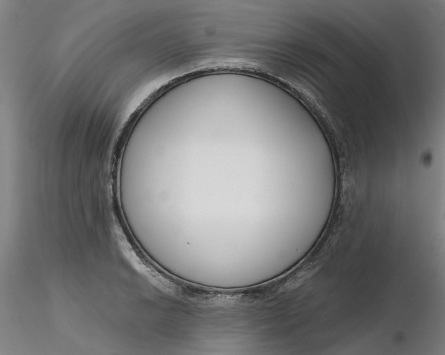 X0000116341038200912221437