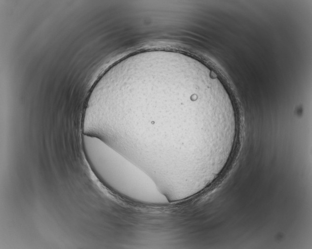 X0000116341041200912221437