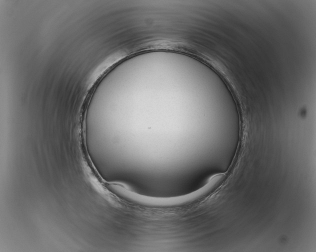 X0000116341042200912221437