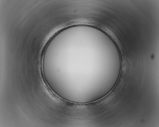 X0000116341043200912221437