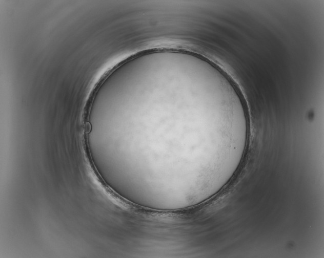 X0000116341045200912221437