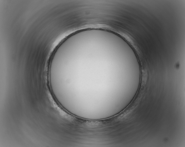 X0000116341046200912221437