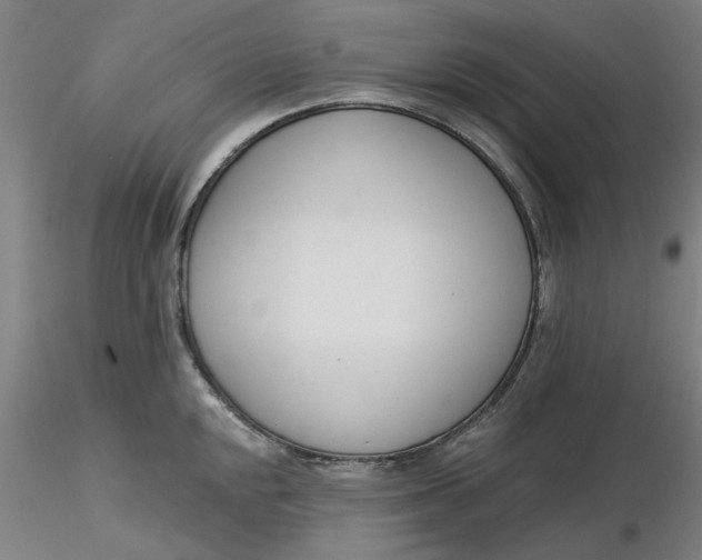 X0000116341048200912221437