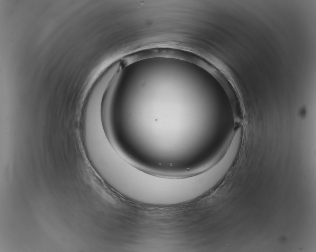 X0000116341051200912221437