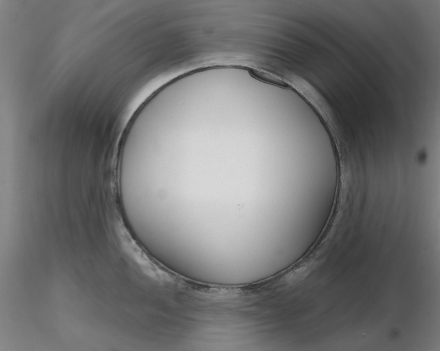 X0000116341052200912221437