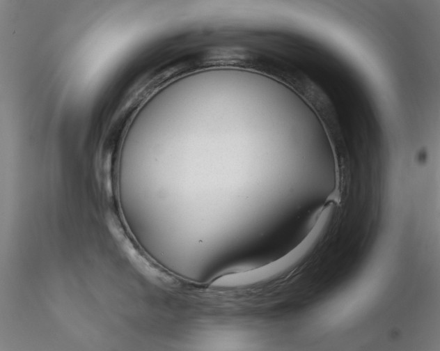 X0000116341054200912221437