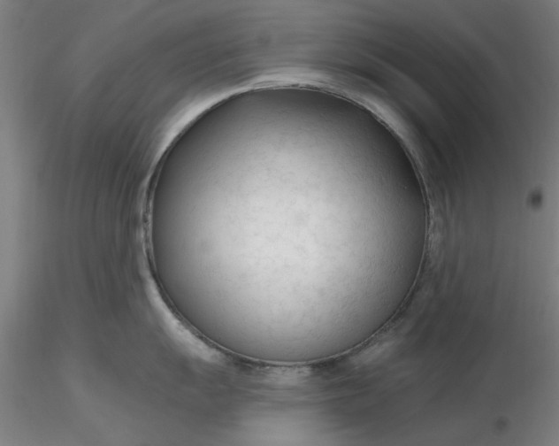 X0000116341055200912221437