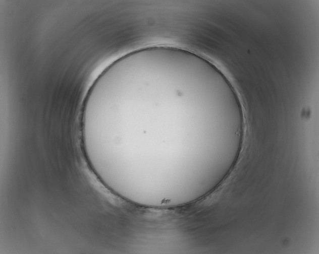 X0000116341056200912221437