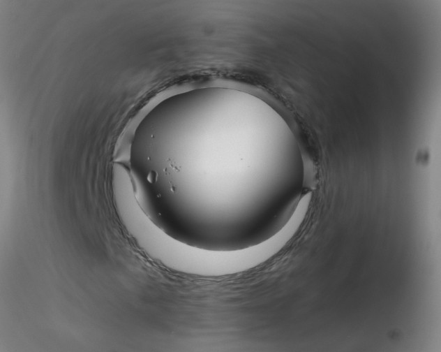 X0000116341057200912221436