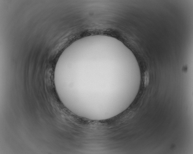 X0000116341059200912221436