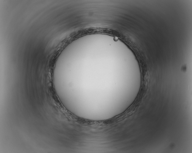 X0000116341062200912221436