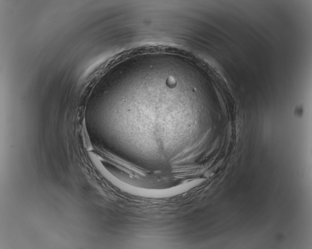 X0000116341064200912221436