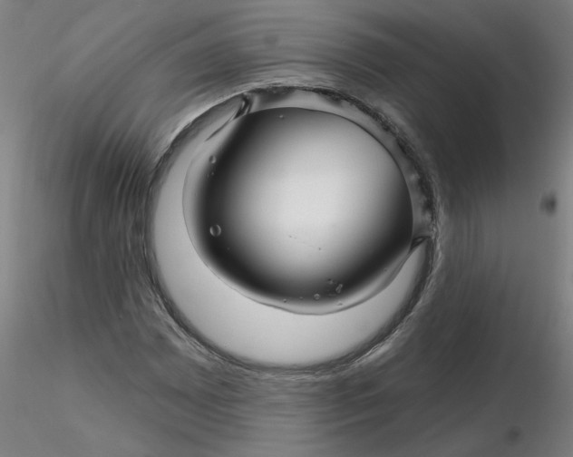 X0000116341065200912221436