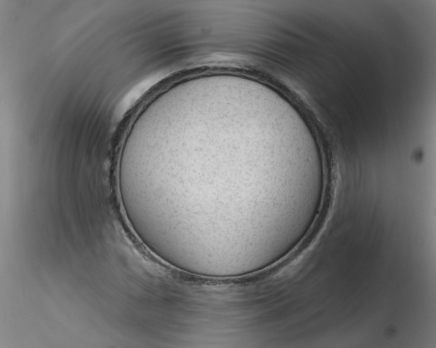 X0000116341066200912221436